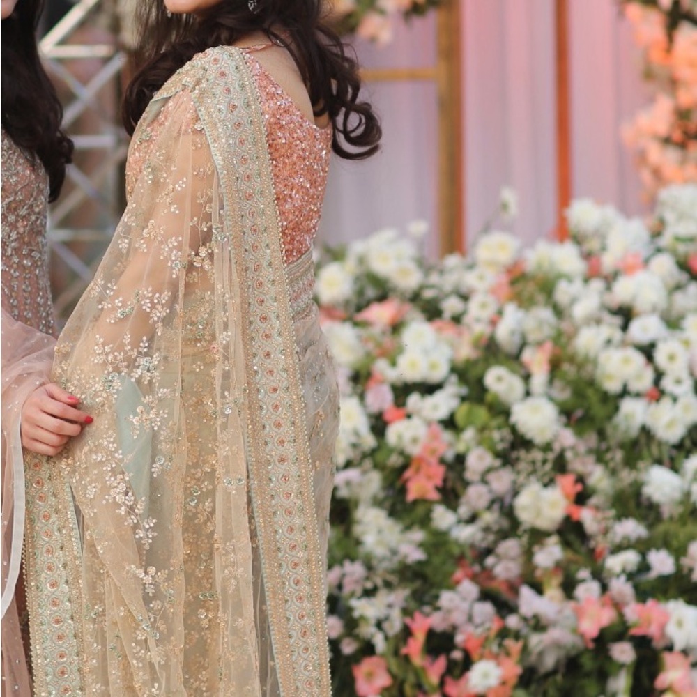 Sabyasachi net stitched saree